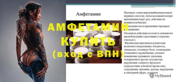 индика Семёнов